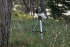Телескоп Celestron LCM 114 Телескоп Celestron LCM 114